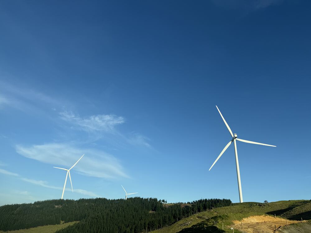 Wind turbines on a New Zealand ridgeline